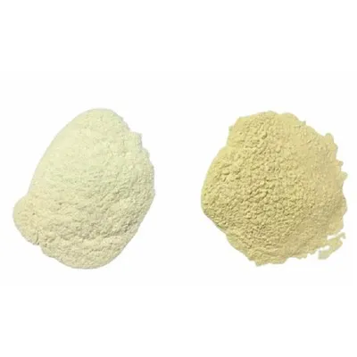 Chitosan v prahu